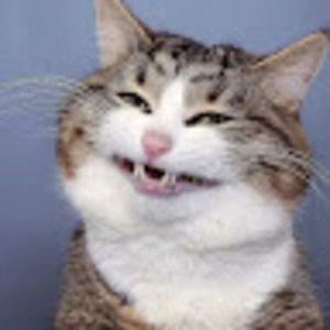 Meet your Posher, Mary ann